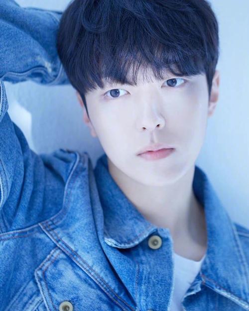 男演员/爱豆公式照简单比个美