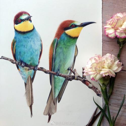 彩铅花鸟