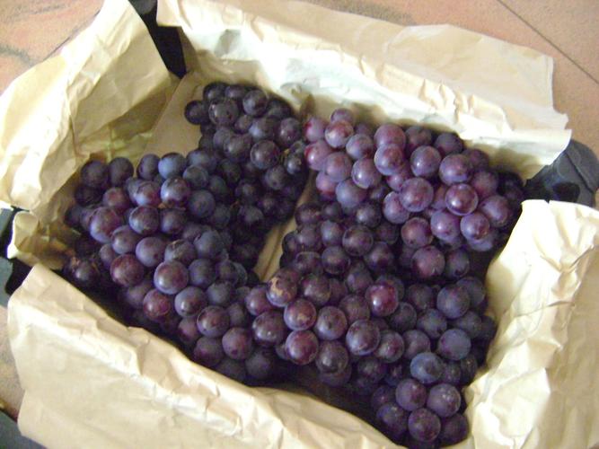 上周末批发了一箱葡萄,想起朋友曾经教过我做葡萄酒,依步骤制作如下