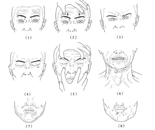 面神经的检查_反射