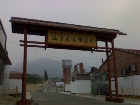 090904,怀来小赵与省台记者到桑园镇后郝窑村葡萄园