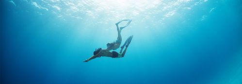 finding harmony in the deep blue sea