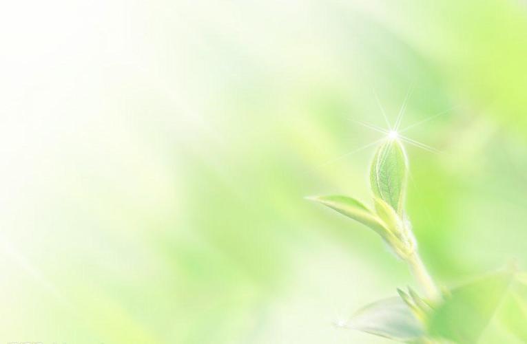 ppt 背景 壁纸 电脑桌面 发芽 绿色 绿色植物 嫩芽 嫩叶 新芽 植物