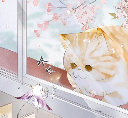紫禁·御喵房:物华小人有危机,御猫们行动,鳌拜穿越成