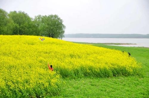 自驾赏花丨3.13湘阴小九寨,神秘斗米咀,踏青一日游