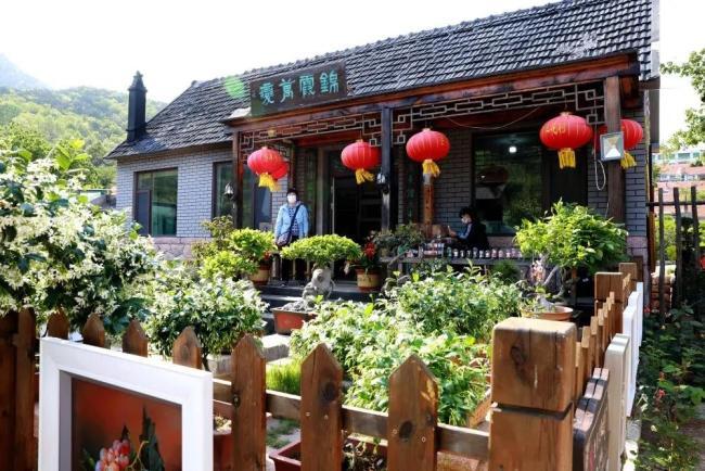 威海荣成"百年花村"春日花海盛景惊艳亮相