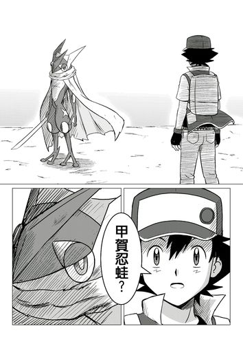 精灵宝可梦xy同人作