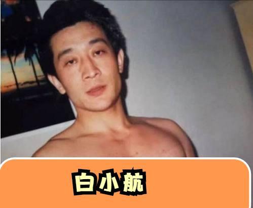 原创向华强在京被掌掴和丁佩通话后暂退回港白小航死因成谜