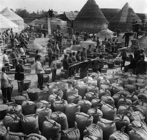 夜读党史(289)丨回望农民交公粮的岁月