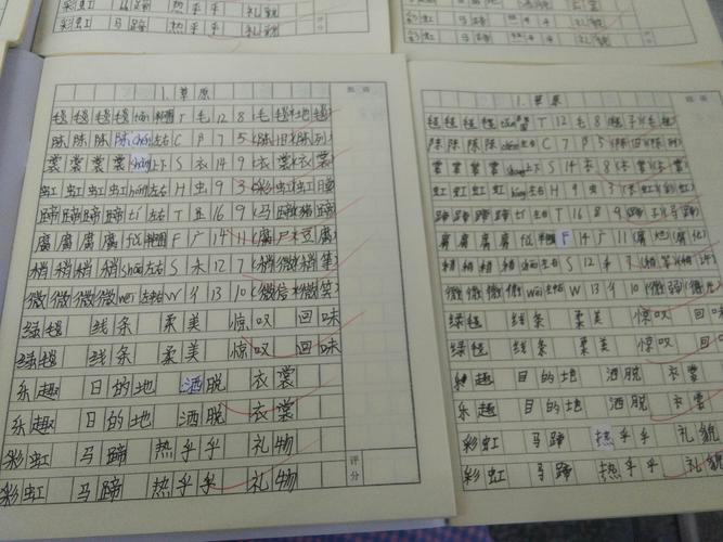 生字词语也抄的特别好看