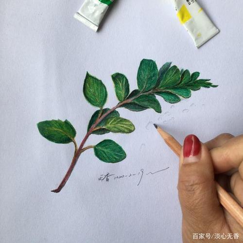 用高光笔或者用勾线笔蘸取白色颜料,点出上方水滴高光处.