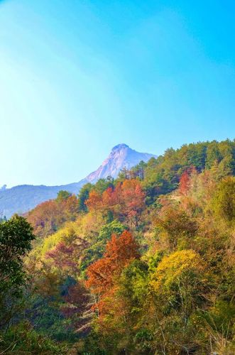 云髻山一年四季的风花雪叶67