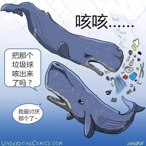 大量被随意丢弃的垃圾沿着潮水涌入了海洋深处,又或者被推到海滩上,但