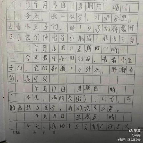 双减进行时发豆芽写日记写作的种子在双峰学子心中萌芽