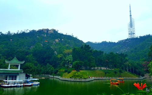 登临景山顶 俯瞰香炉湾 ——珠海景山公园 (手机拍摄)