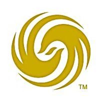 凤凰卫视台标logo素材