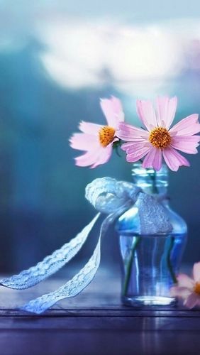 唯美漂亮的花朵儿意境图片大全