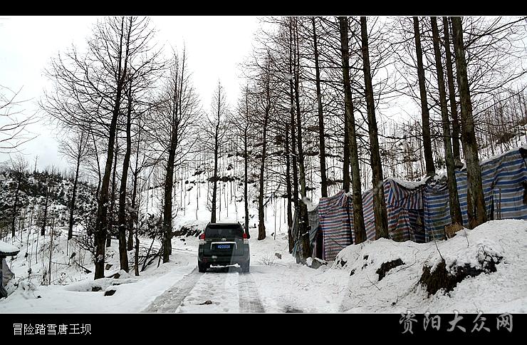 冒险踏雪唐王坝(自驾游)
