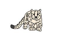 豹猫