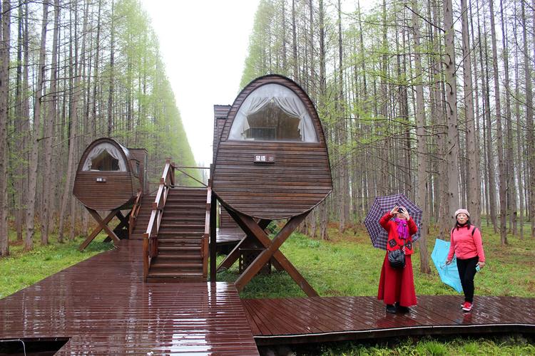 黄海森林公园-森林木屋_江苏自驾游论坛_123活动网