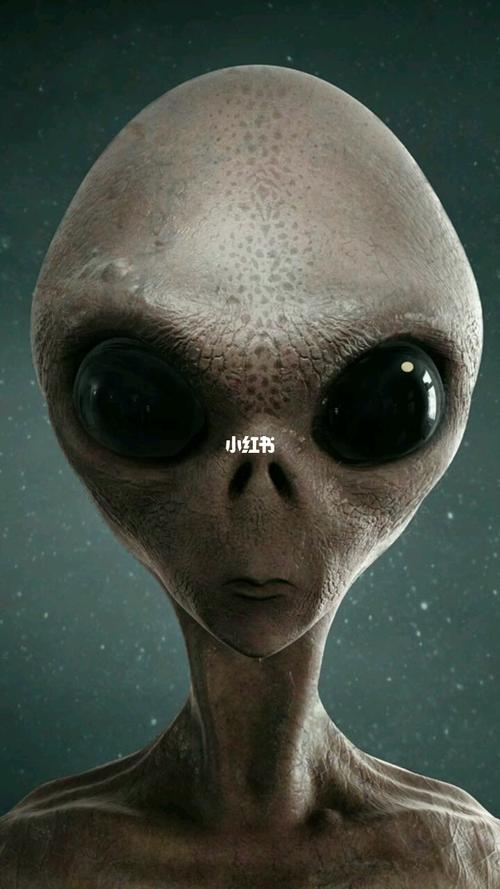 你们见过真正的外星人吗?可怕