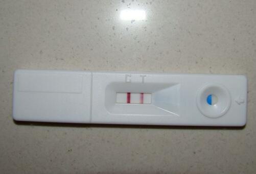 早孕试纸多久能测出来怀孕怀孕的早期征兆