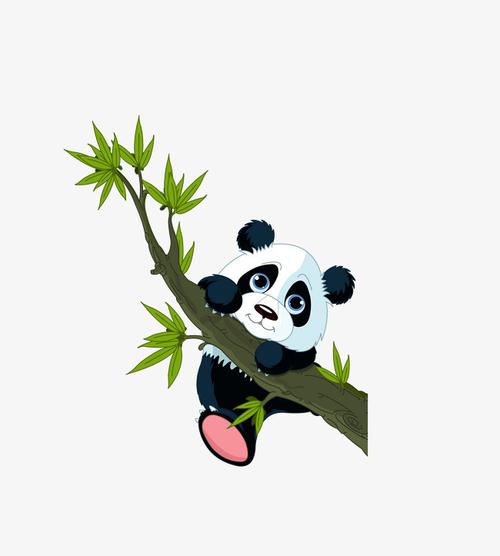 卡通手绘动物可爱围巾小熊猫看书