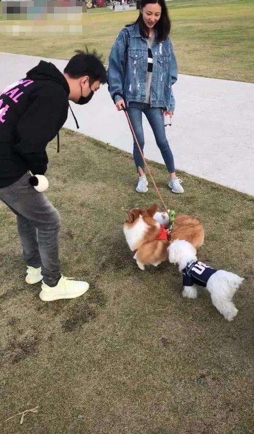 网友偶遇王思聪街头秀恩爱,情侣装街边遛狗,这次终于不是网红了!