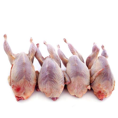 农家冷冻大号每份放血新鲜散养鹌鹑