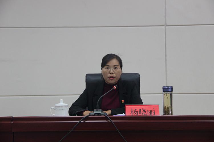 会议由县委常委,县委组织部部长杨晓丽同志主持