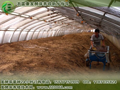做100平米养鸡发酵床要用多少钱的发酵床菌种