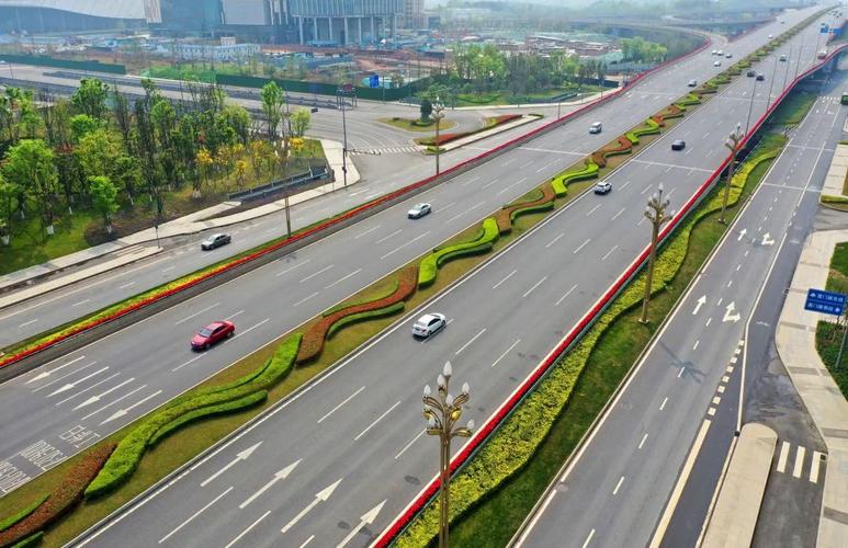 天府大道花正好 那些神仙花儿,你可能认不到