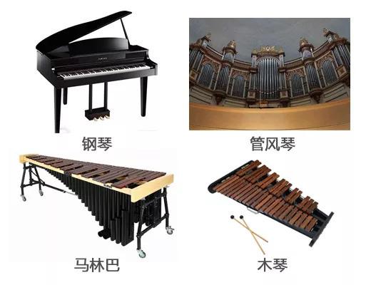 常见的键盘乐器交响乐队中常见的键盘乐器有钢琴,管风琴,马林巴,木琴