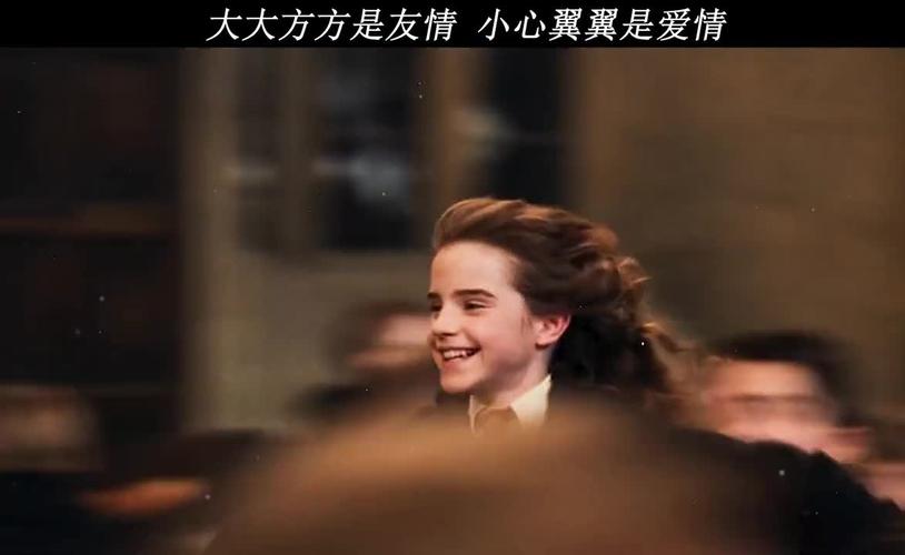 一直以为赫敏喜欢的是哈利没想到最后和罗恩在一起了哈利波特