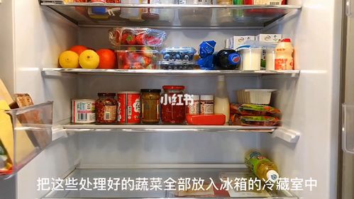 6015冰箱里面有什么04超干货实用蔬菜保鲜大法