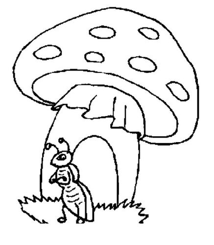 蚂蚁蘑菇房子简笔画