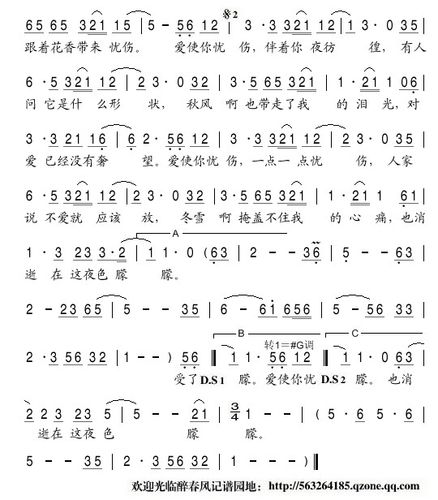 爱忧伤 胡佳琛 歌谱 简谱
