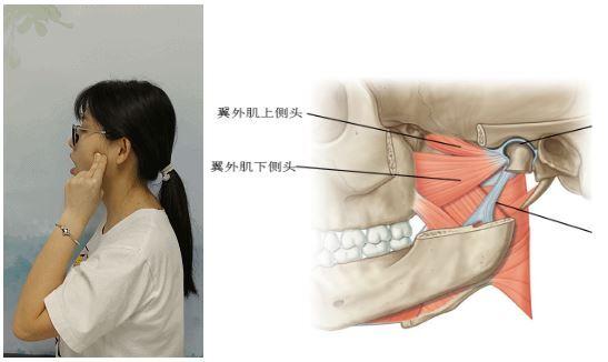 颞下颌关节不舒服的自我按摩放松