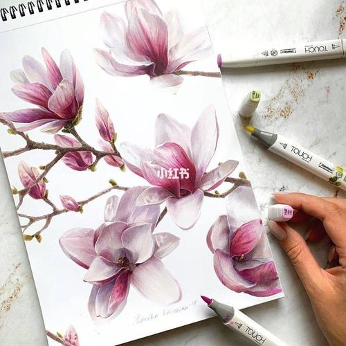 马克笔花卉系列~ 【作者:bro_ka_li 67】_绘画_花卉