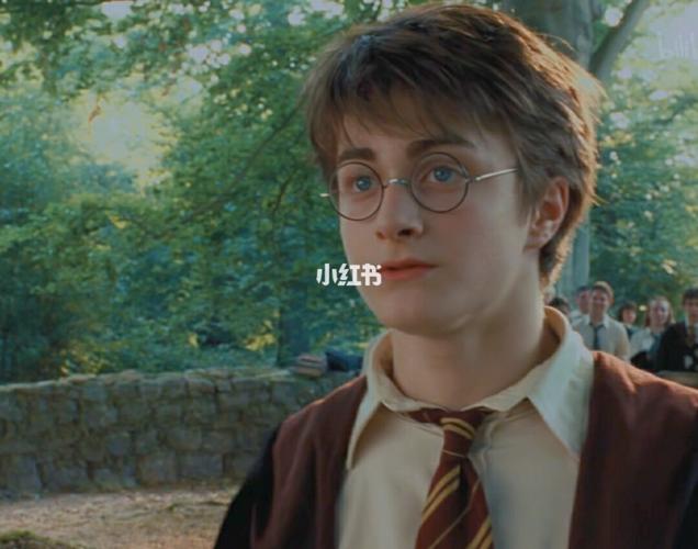 哈利波特丹尼尔_哈利波特_影视_电影(图文)_外语电影