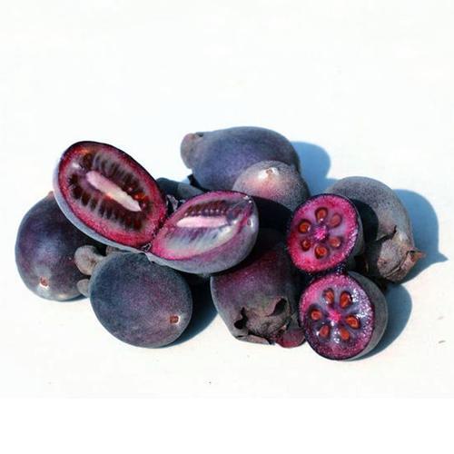 [蚕夫人] 斤 3 新鲜山稔捻子桃金娘山捻子岗稔念水果稔多尼果 火爆