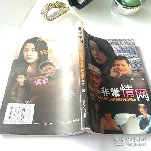 长篇电视剧小说非常情网