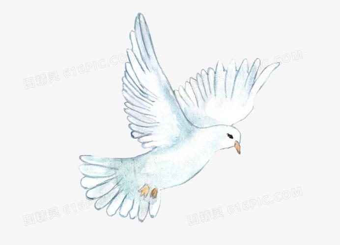 卡通鸽子鸽子剪影手绘鸽子鸽子矢量金色鸽子和平鸽子飞翔的鸽子鸽子