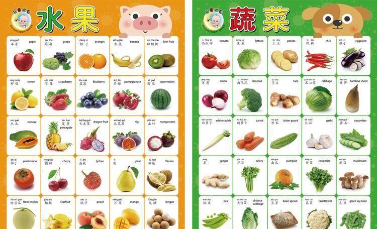 撕不烂0-3岁婴幼儿宝宝识字双面挂图 儿童益智学习早教识图可定制