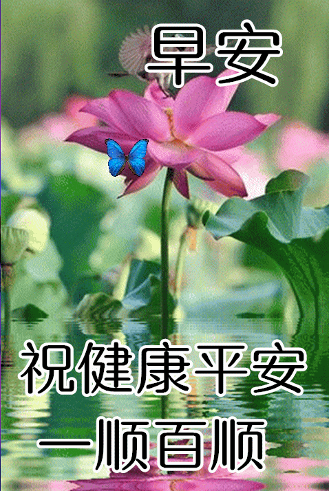 最新周一早上好祝福语表情包一心一意问候愿你一生一世安康