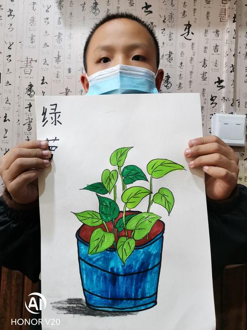 2020/11/07-08黑白画室初级三班【写生——绿萝】辅导老师陈老师