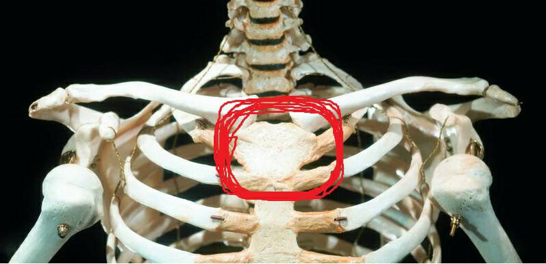胸骨上端锁骨窝下方,就是胸骨最突起的部位感觉比以前突出了,有时阵痛