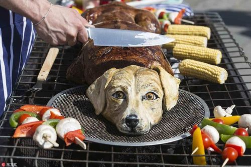 动物保护组织英国闹市"烤狗肉"呼吁素食