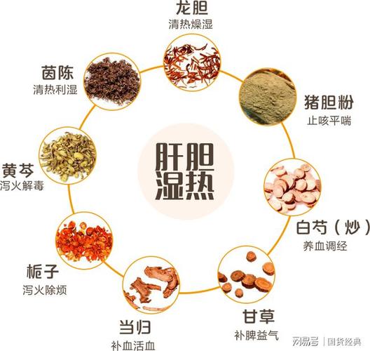 快来自测身体健康状态小心肝胆湿热困扰你
