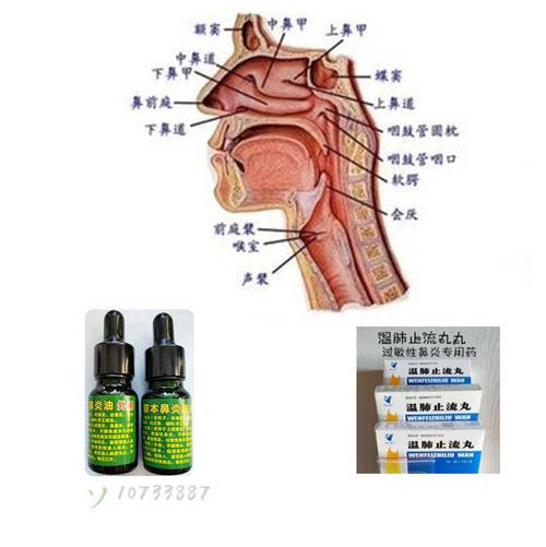两种草本保守治疗让鼻子炎症油走消云散吧!_鼻腔